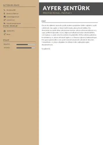 Pastacı Cv Örnekleri cv indir